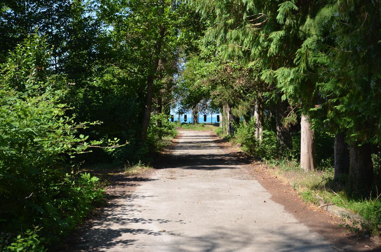 Solnechny Bereg Guest House 구다우타 외부 사진