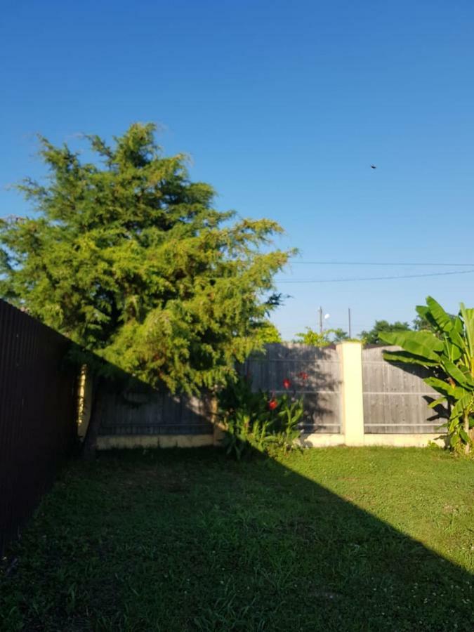 Solnechny Bereg Guest House 구다우타 외부 사진